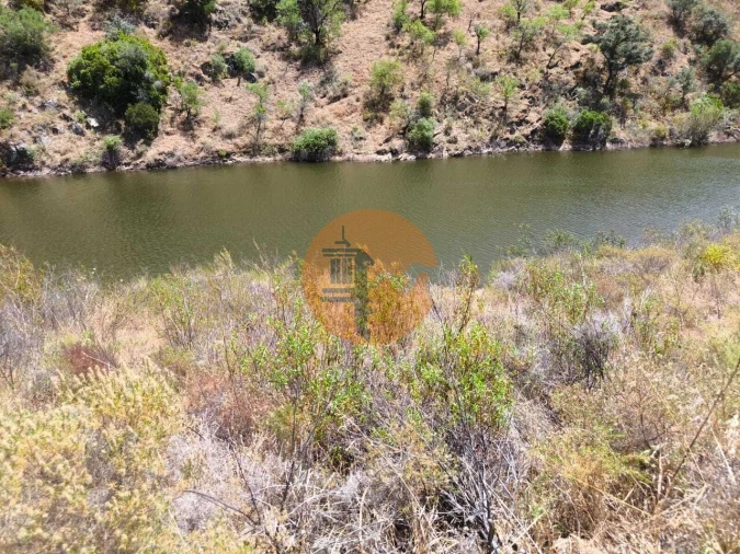 Terreno para Venda em Azinhal Foto 18