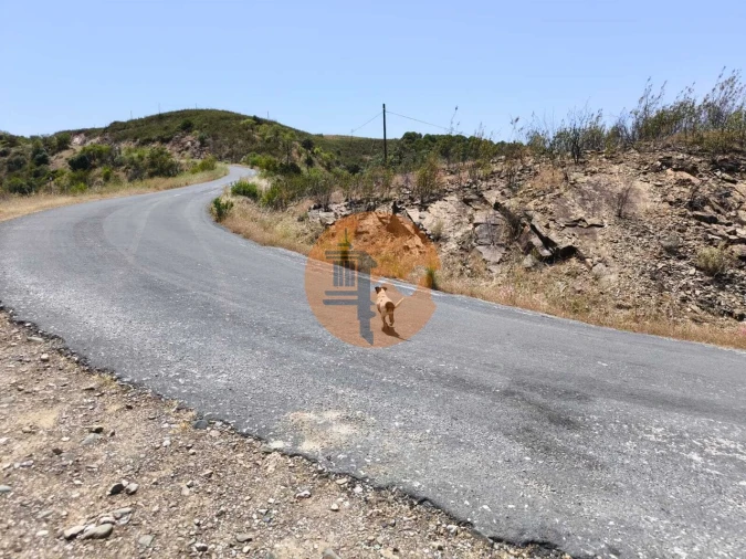 Terreno para Venda em Azinhal Foto 21