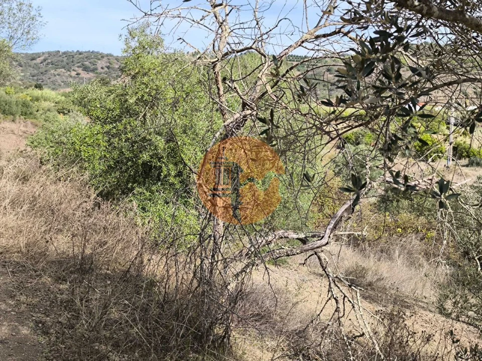 Terreno para Venda em Castro Marim Foto 4