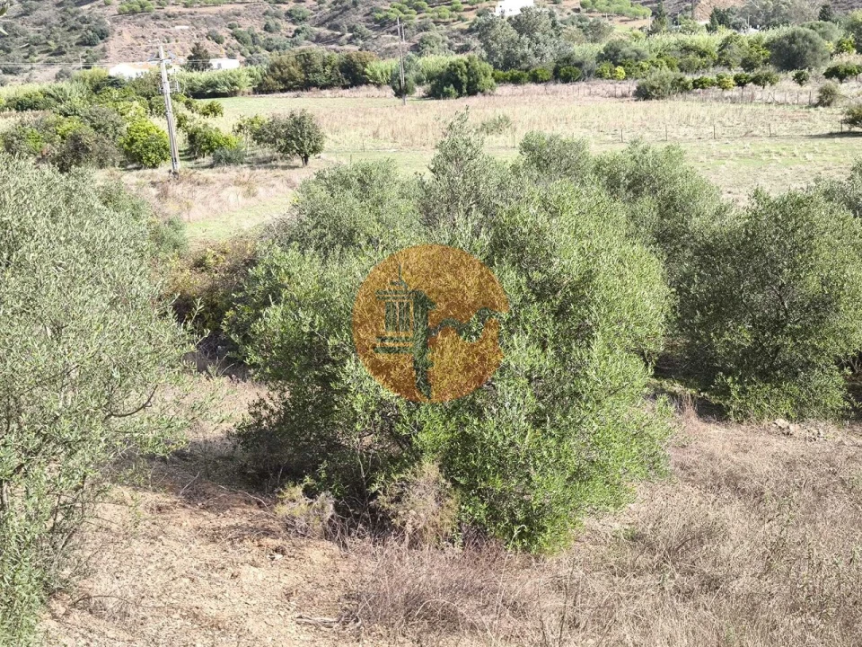 Terreno para Venda em Castro Marim Foto 6