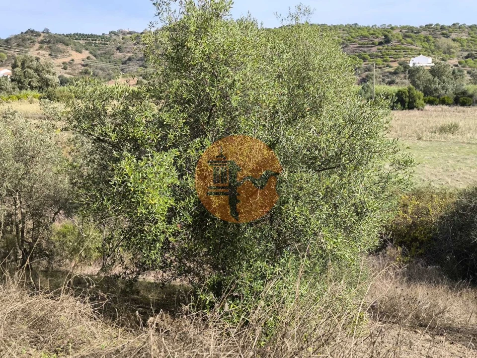 Terreno para Venda em Castro Marim Foto 11