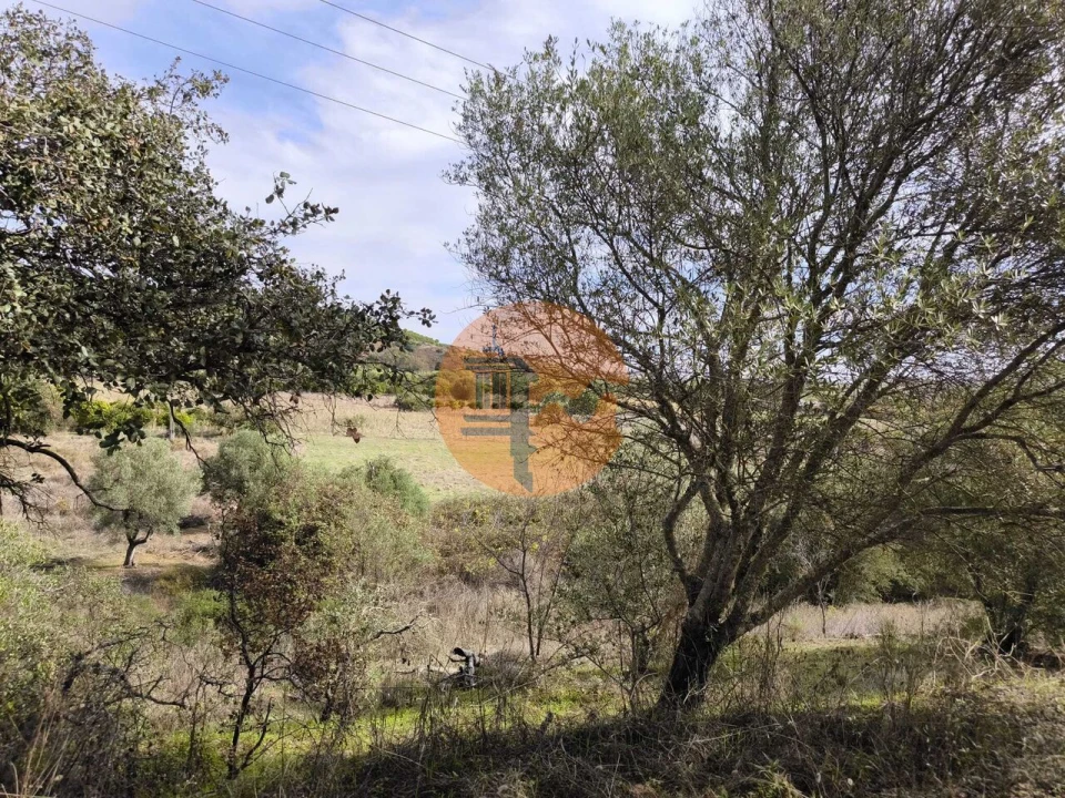 Terreno para Venda em Castro Marim Foto 17