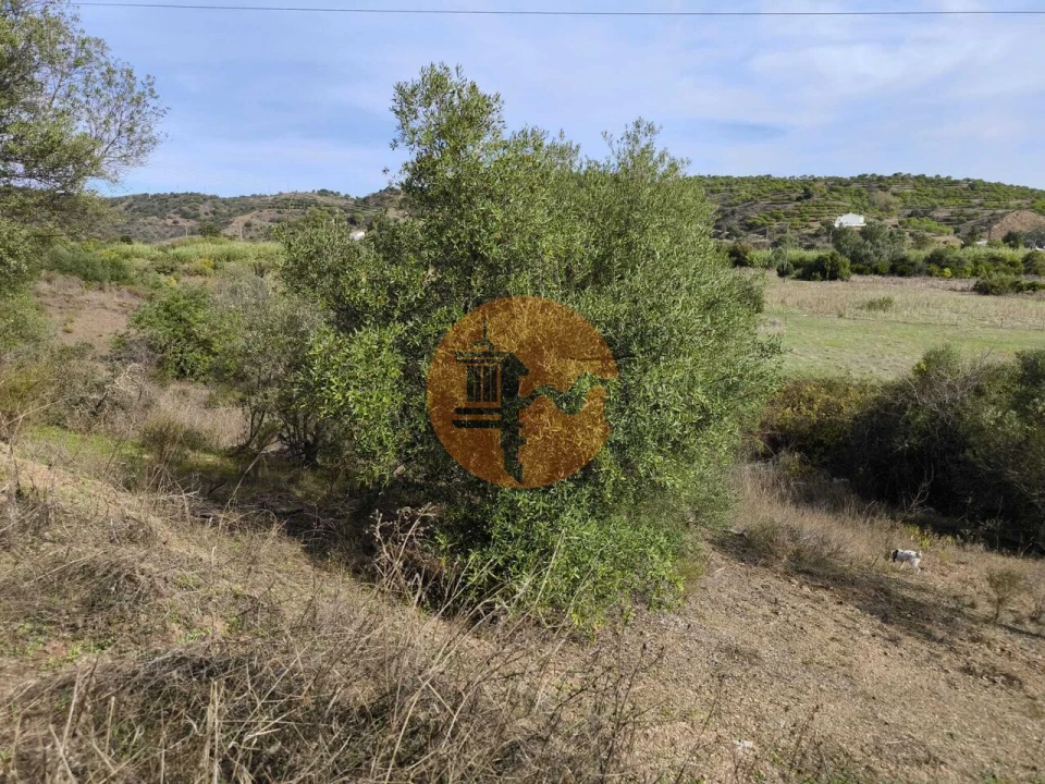 Terreno para Venda em Castro Marim Foto 25