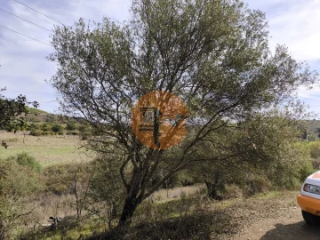 Terreno para Venda em Castro Marim