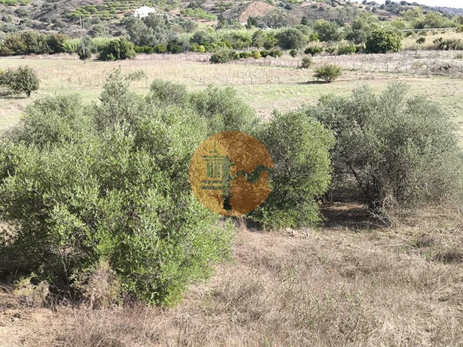 Terreno para Venda em Castro Marim Foto 3