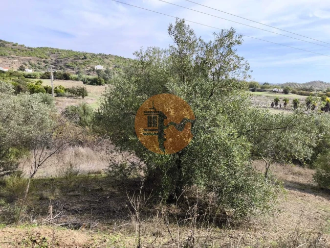 Terreno para Venda em Castro Marim Foto 21