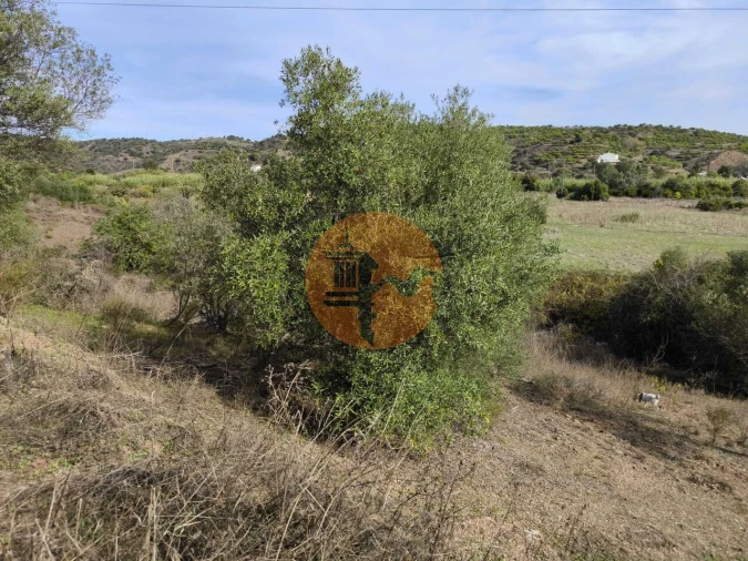 Terreno para Venda em Castro Marim Foto 25