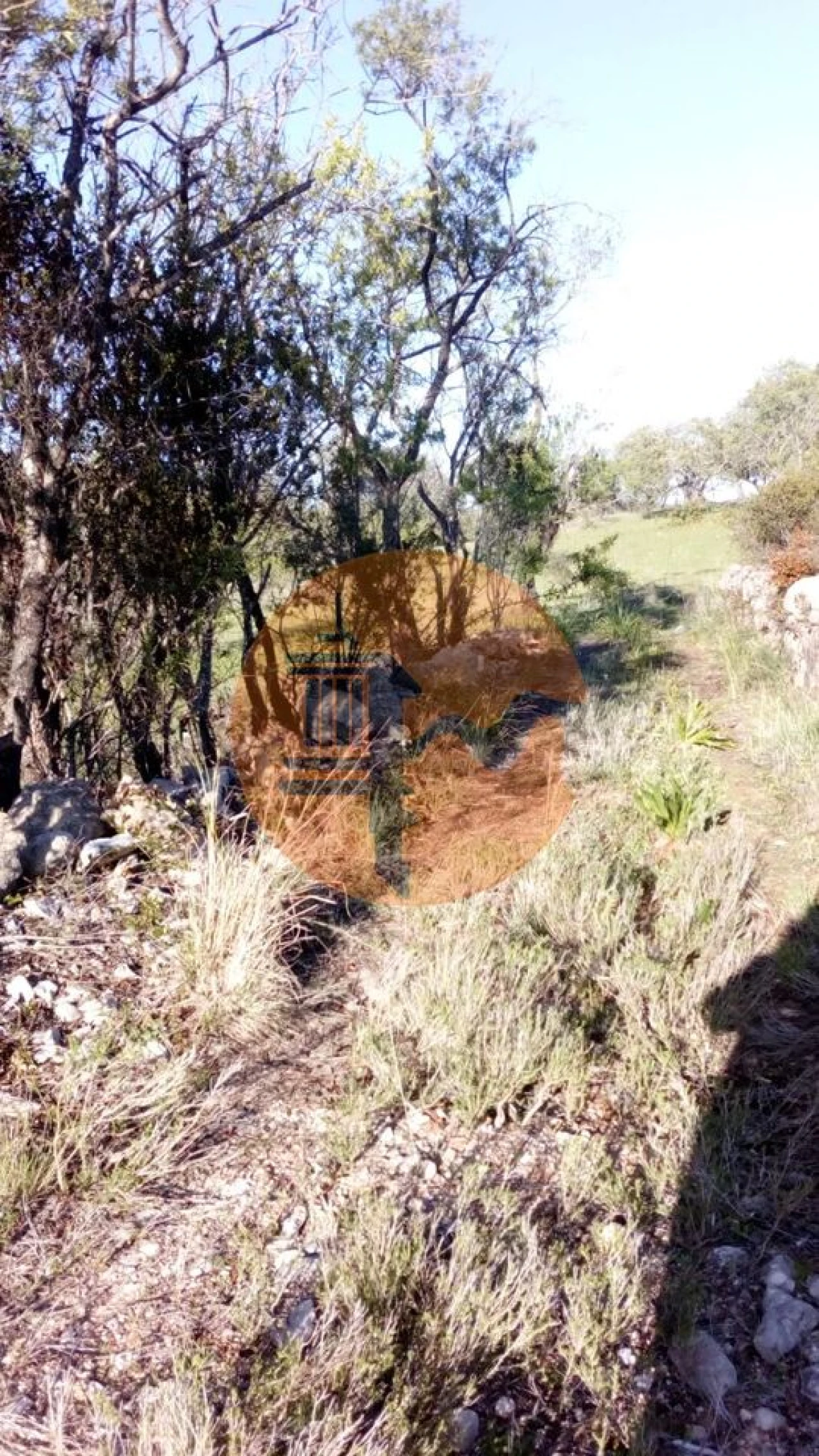 Terreno para Venda em Paderne Foto 6