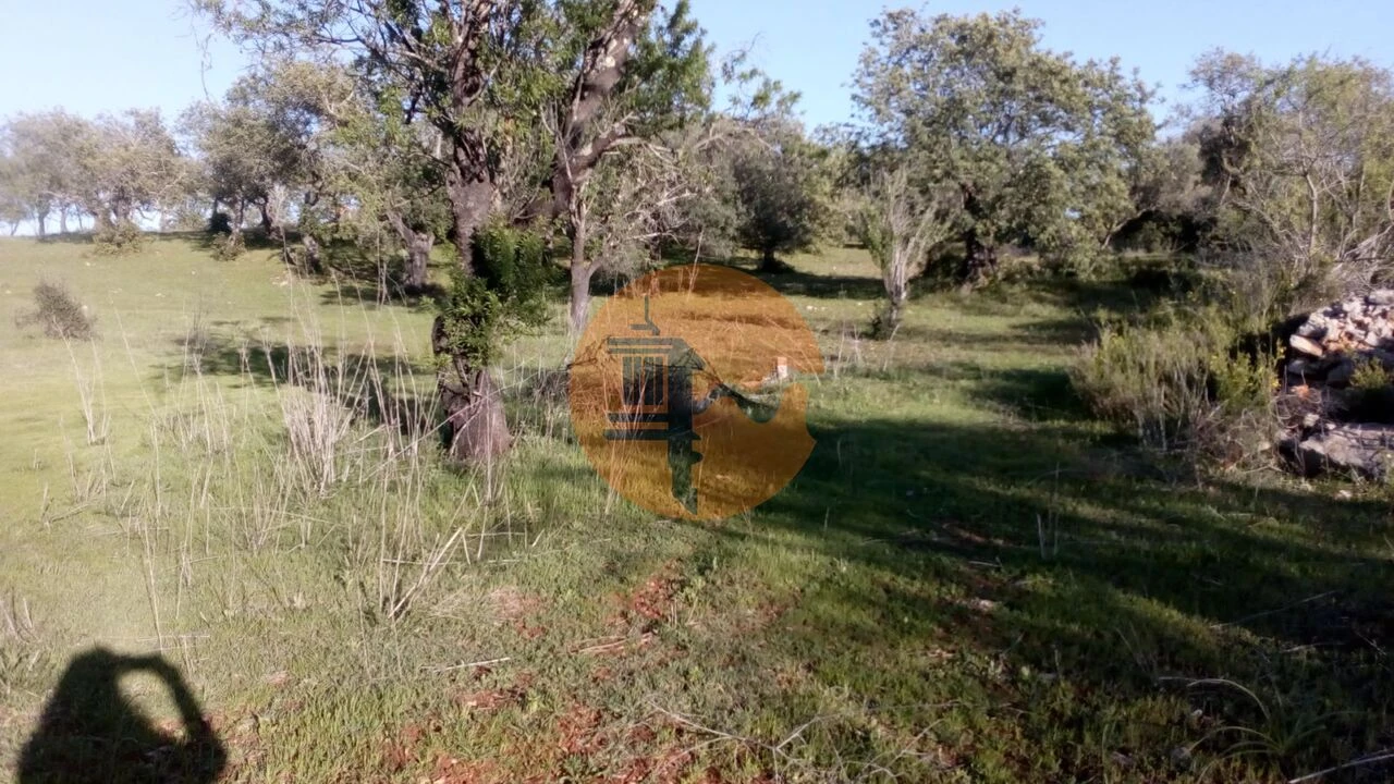 Terreno para Venda em Paderne Foto 1