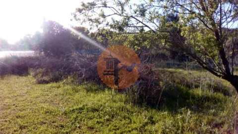 Terreno para Venda em Paderne