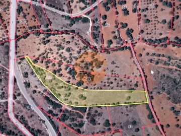 Terreno para Venda em Paderne