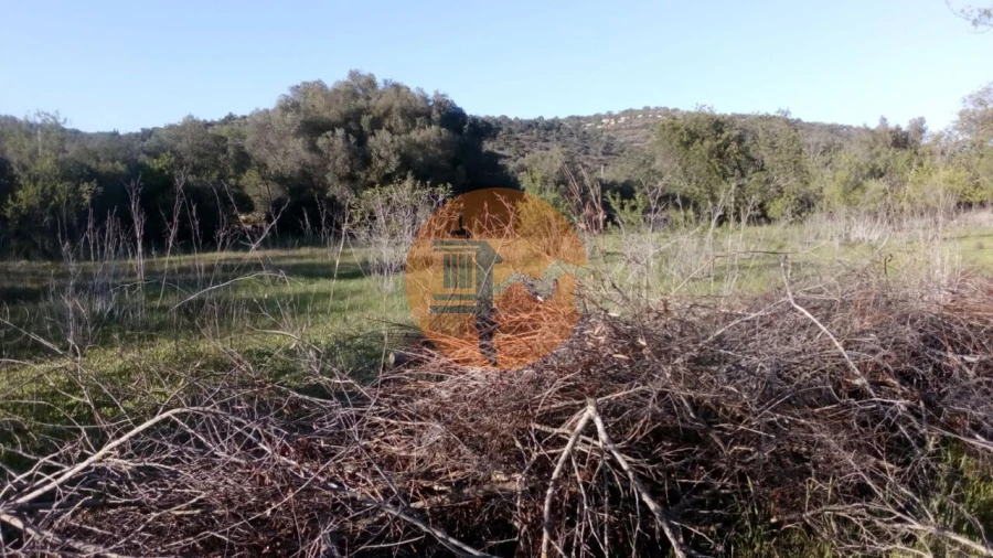 Terreno para Venda em Paderne Foto 7