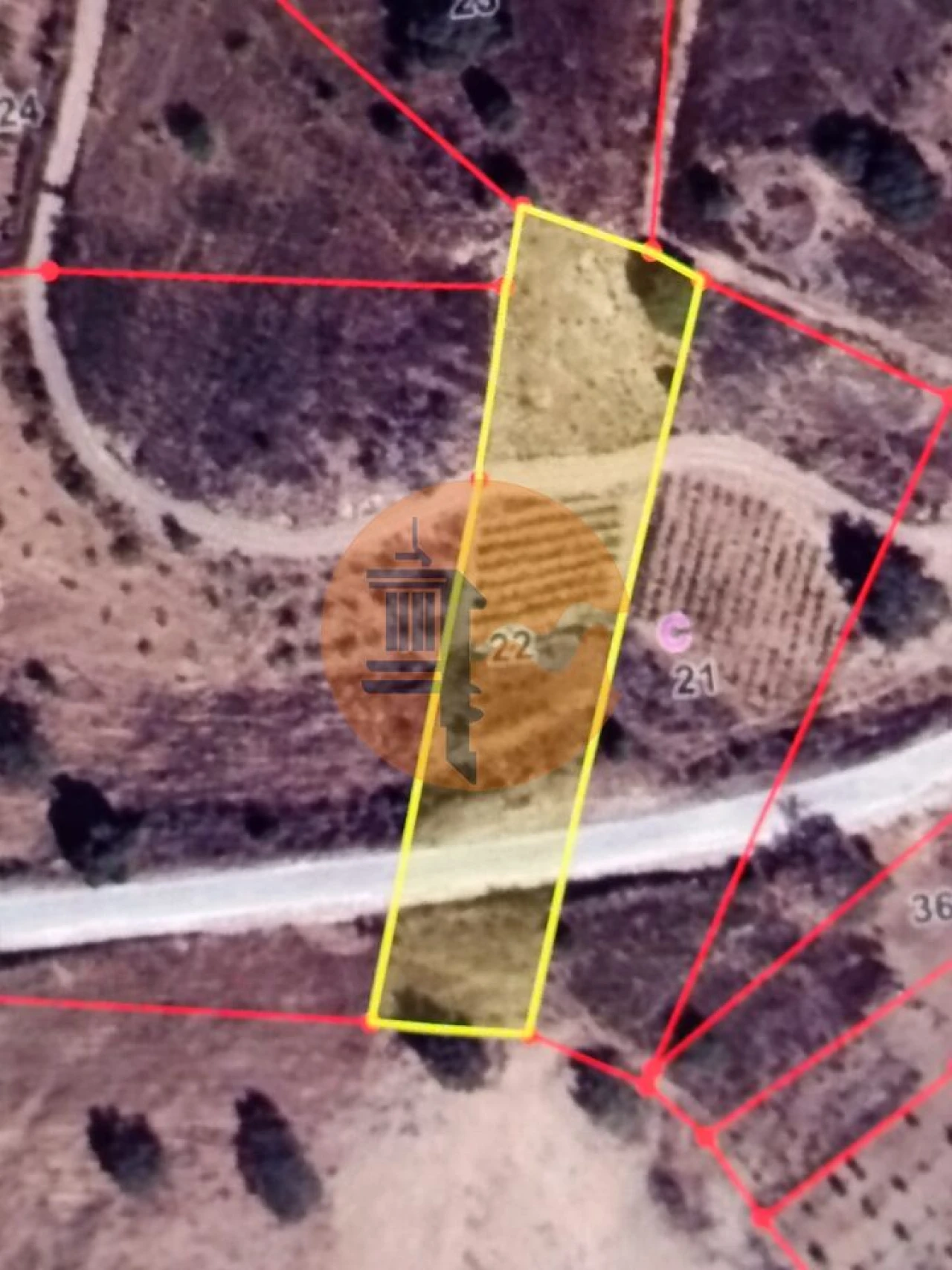 Terreno para Venda em Azinhal Foto 12