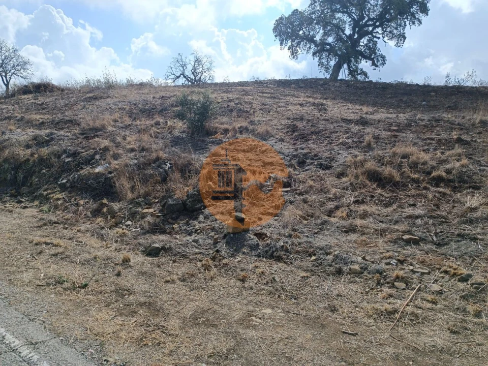 Terreno para Venda em Azinhal Foto 19