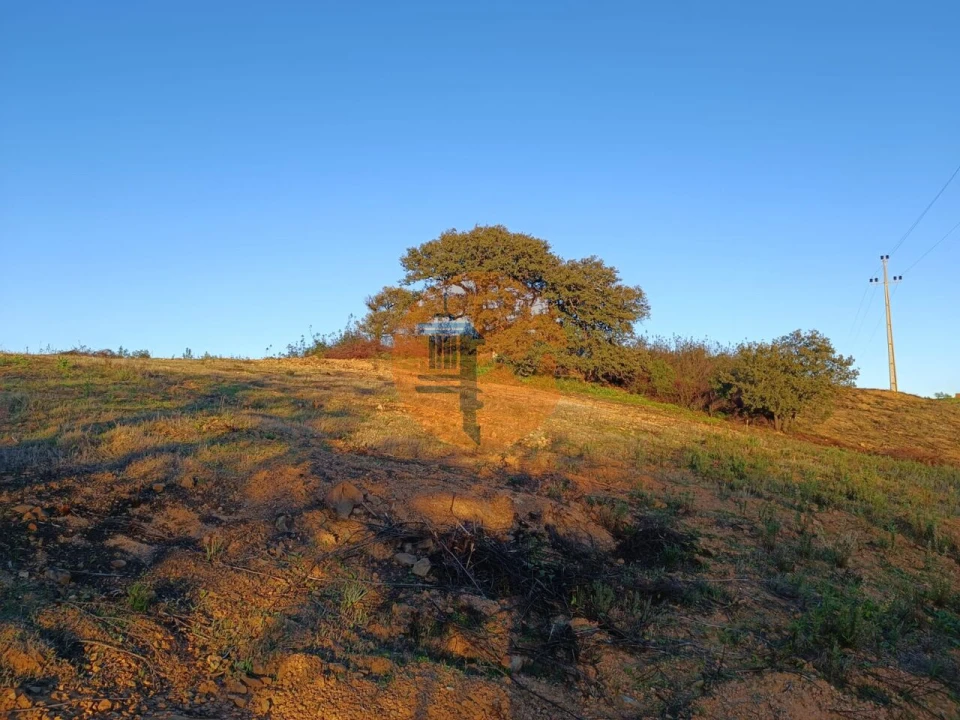 Terreno para Venda em Azinhal Foto 20