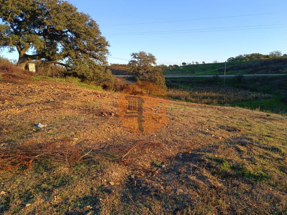 Terreno para Venda em Azinhal Foto 25