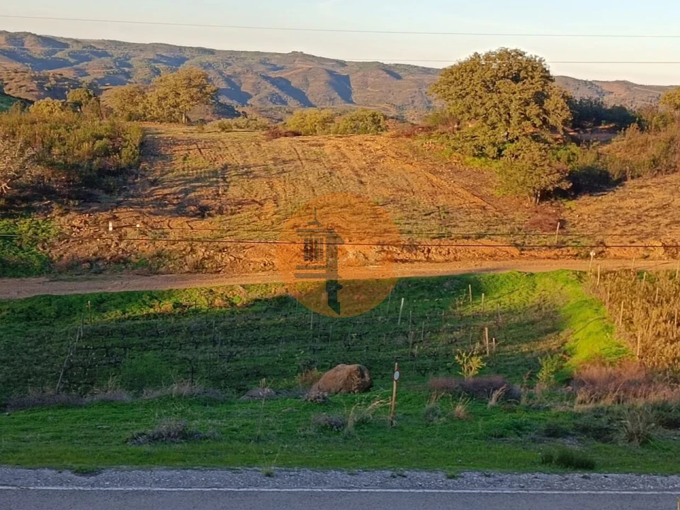 Terreno para Venda em Azinhal Foto 26