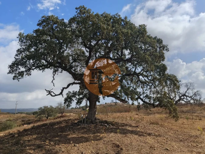 Terreno para Venda em Azinhal Foto 8