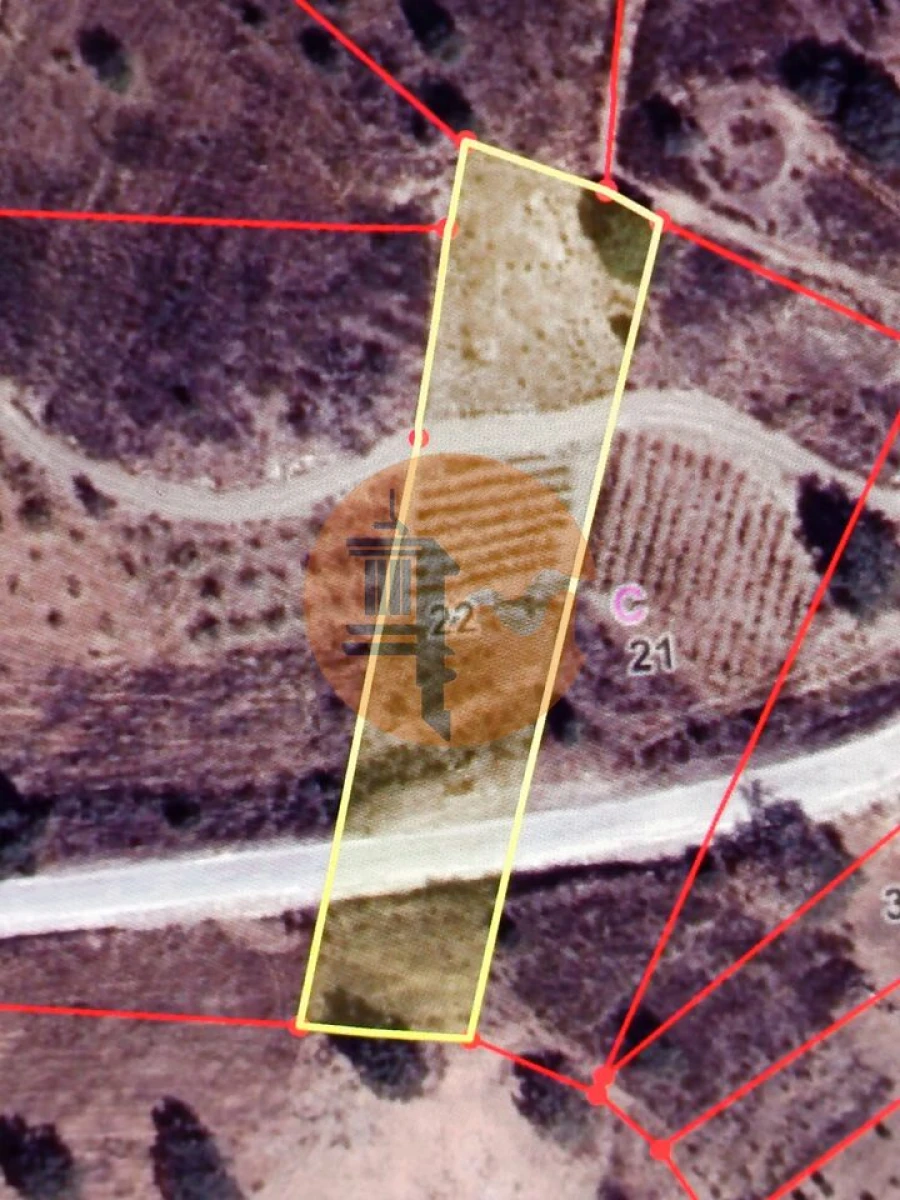Terreno para Venda em Azinhal Foto 7