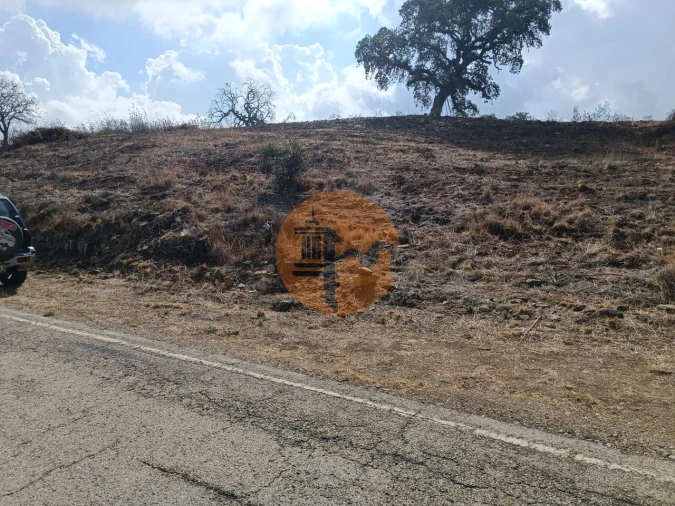 Terreno para Venda em Azinhal Foto 17