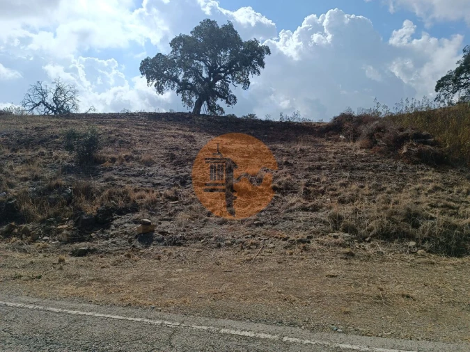 Terreno para Venda em Azinhal Foto 18