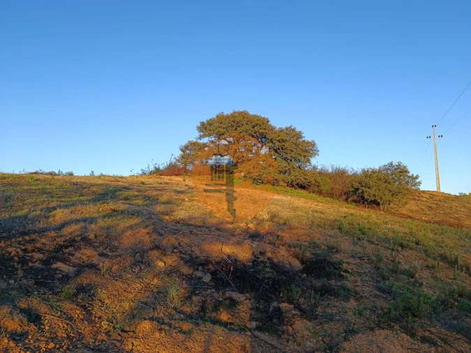 Terreno para Venda em Azinhal Foto 20
