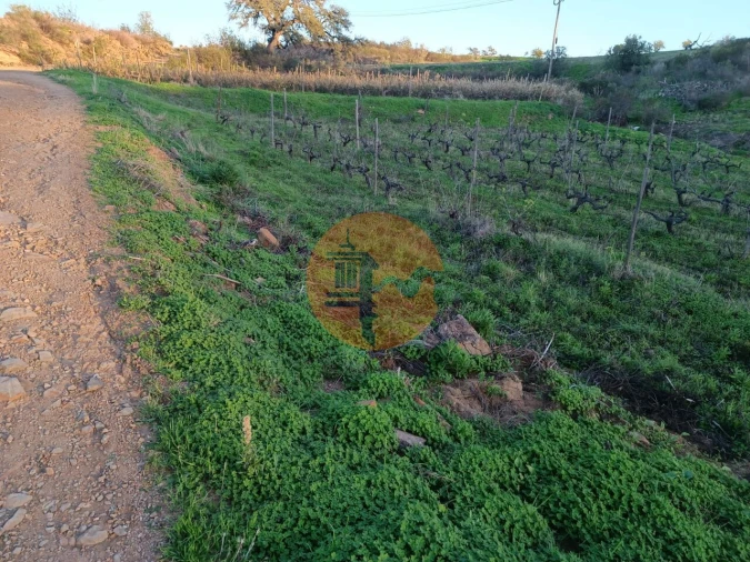Terreno para Venda em Azinhal Foto 21