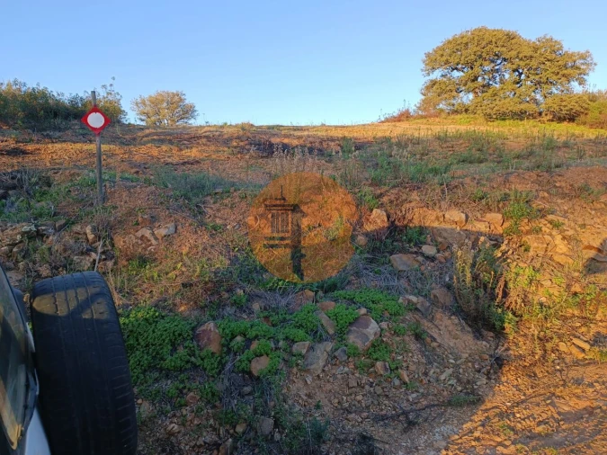 Terreno para Venda em Azinhal Foto 24
