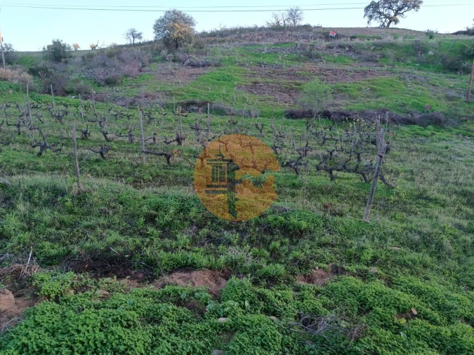 Terreno para Venda em Azinhal Foto 27