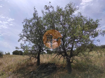 Terreno para Venda em Castro Marim