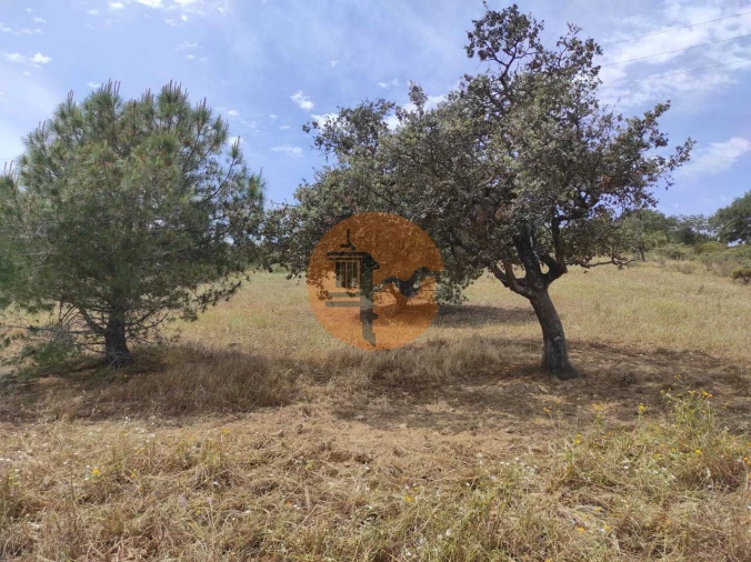 Terreno para Venda em Castro Marim Foto 3