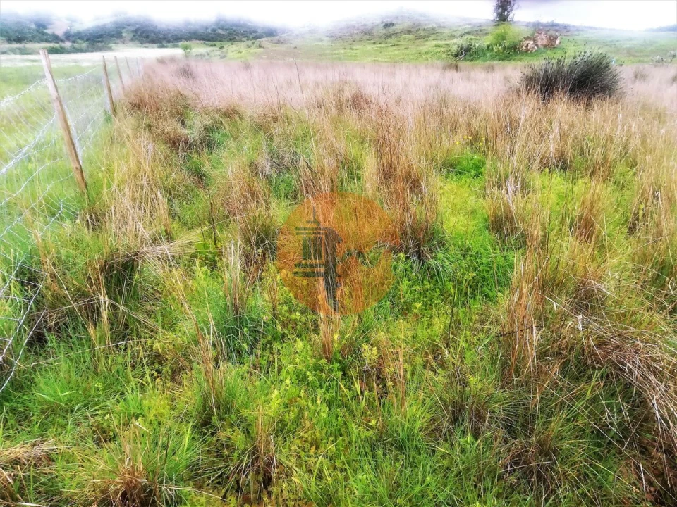 Terreno para Venda em Castro Marim Foto 29