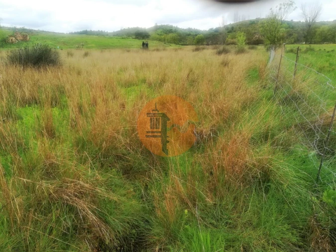 Terreno para Venda em Castro Marim Foto 36