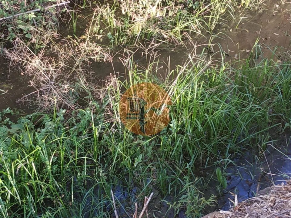 Terreno para Venda em Castro Marim Foto 29