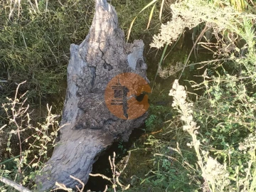 Terreno para Venda em Castro Marim