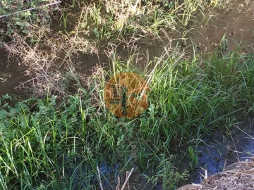 Terreno para Venda em Castro Marim