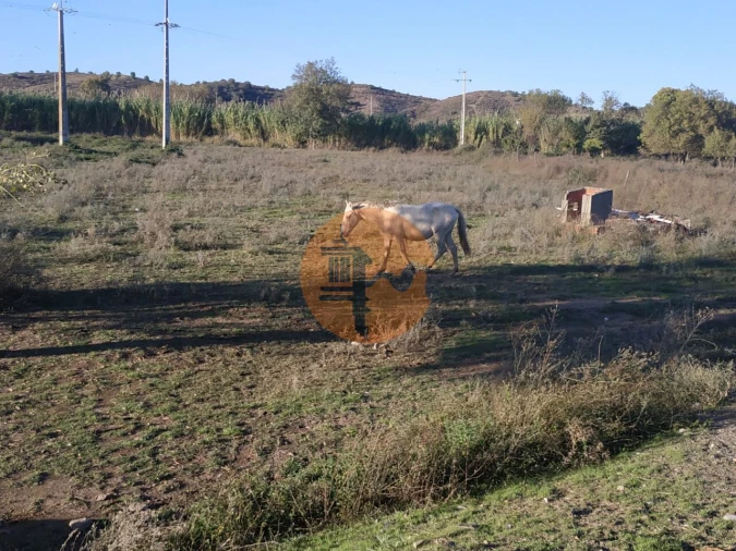 Terreno para Venda em Castro Marim Foto 14