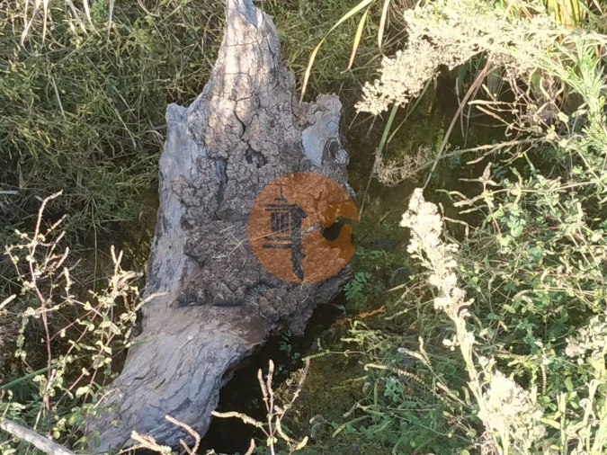 Terreno para Venda em Castro Marim Foto 26