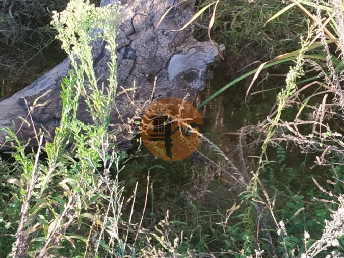 Terreno para Venda em Castro Marim Foto 27