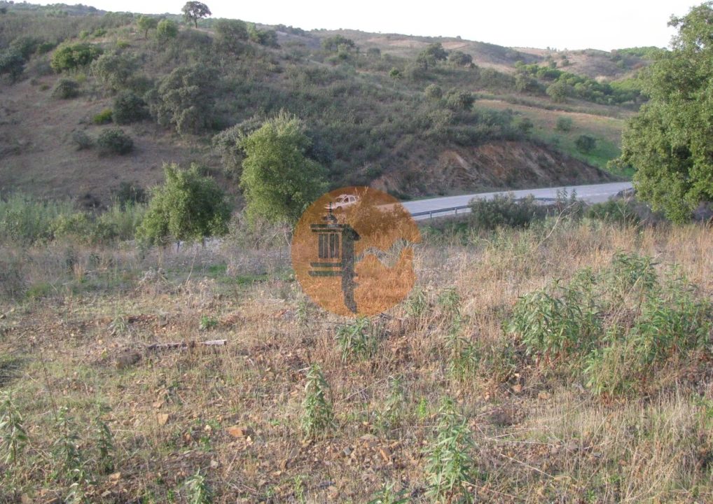 Terreno para Venda em Azinhal Foto 3
