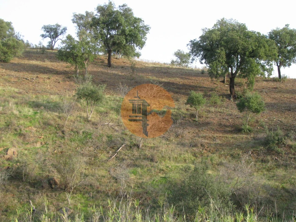 Terreno para Venda em Azinhal Foto 6
