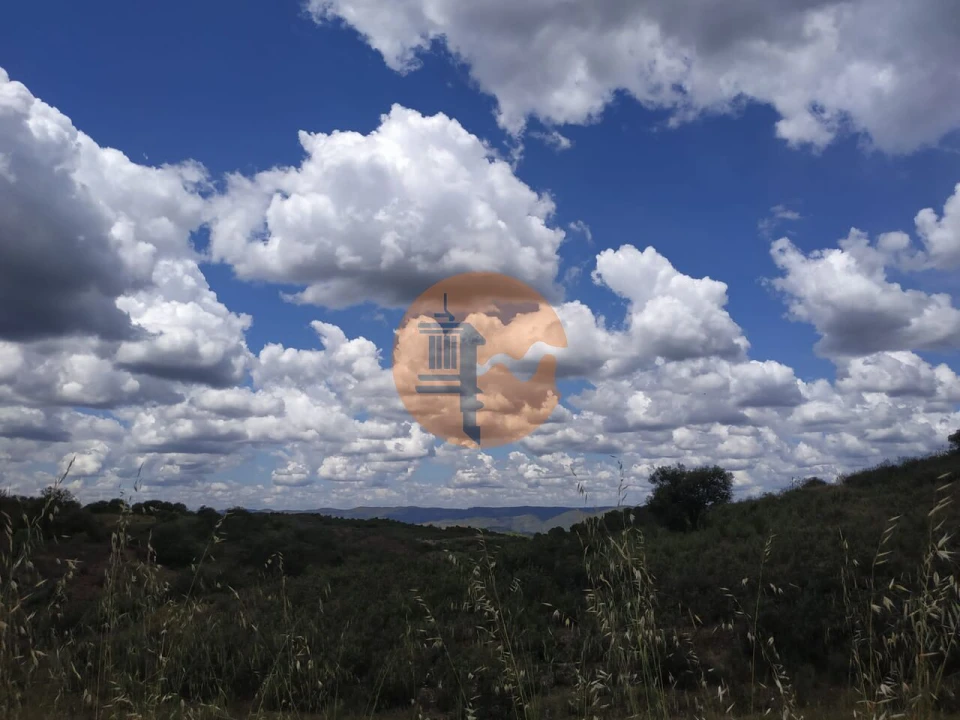 Terreno para Venda em Azinhal Foto 19