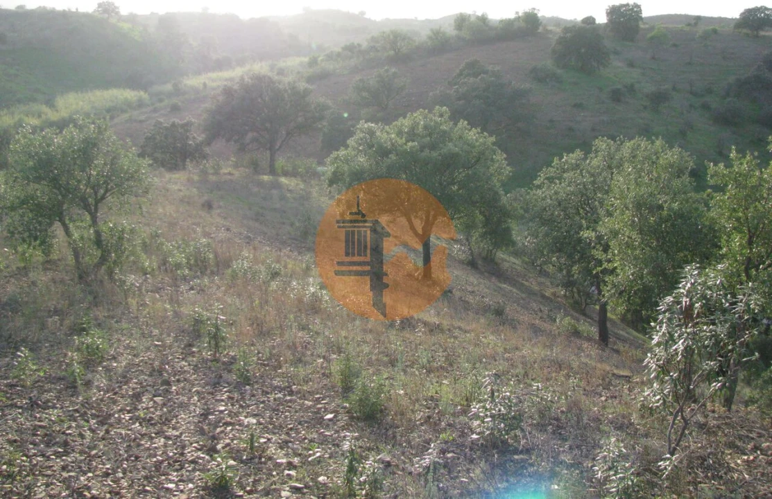 Terreno para Venda em Azinhal Foto 22