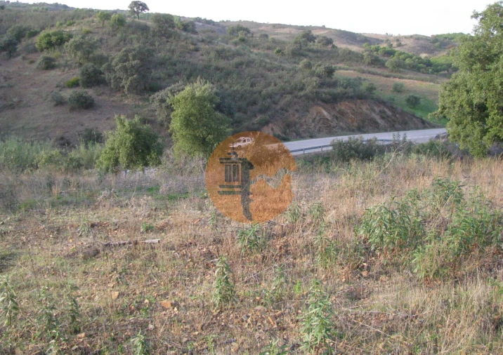 Terreno para Venda em Azinhal Foto 3