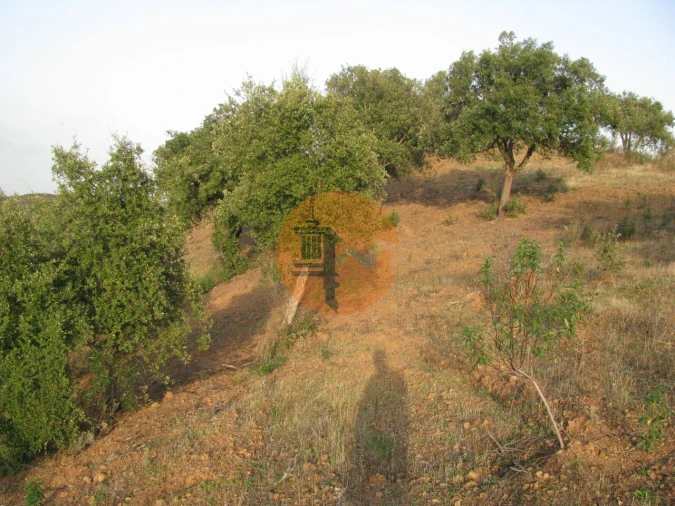 Terreno para Venda em Azinhal Foto 20