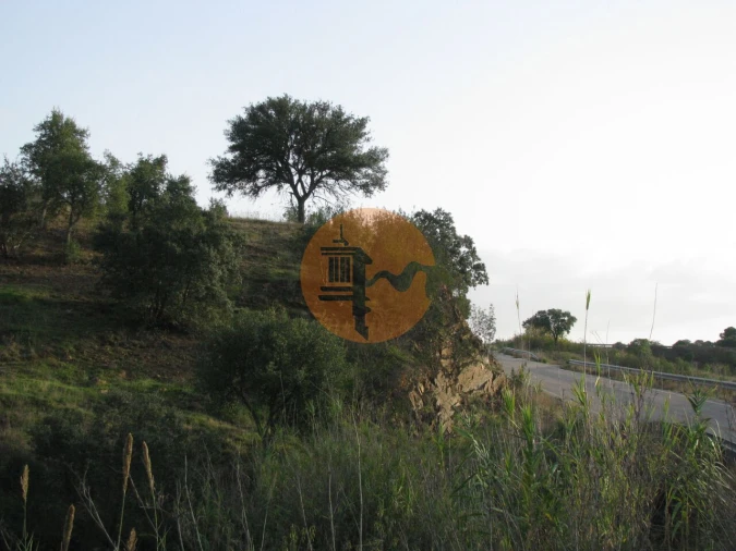 Terreno para Venda em Azinhal Foto 21