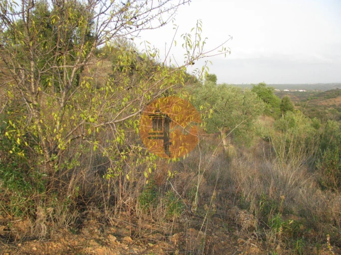 Terreno para Venda em Azinhal Foto 26