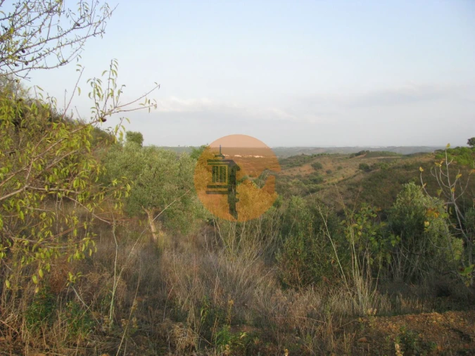 Terreno para Venda em Azinhal Foto 28