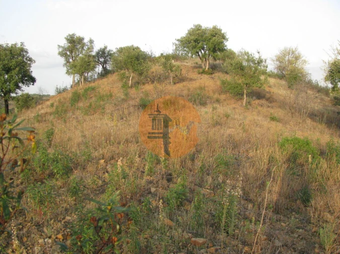 Terreno para Venda em Azinhal Foto 29