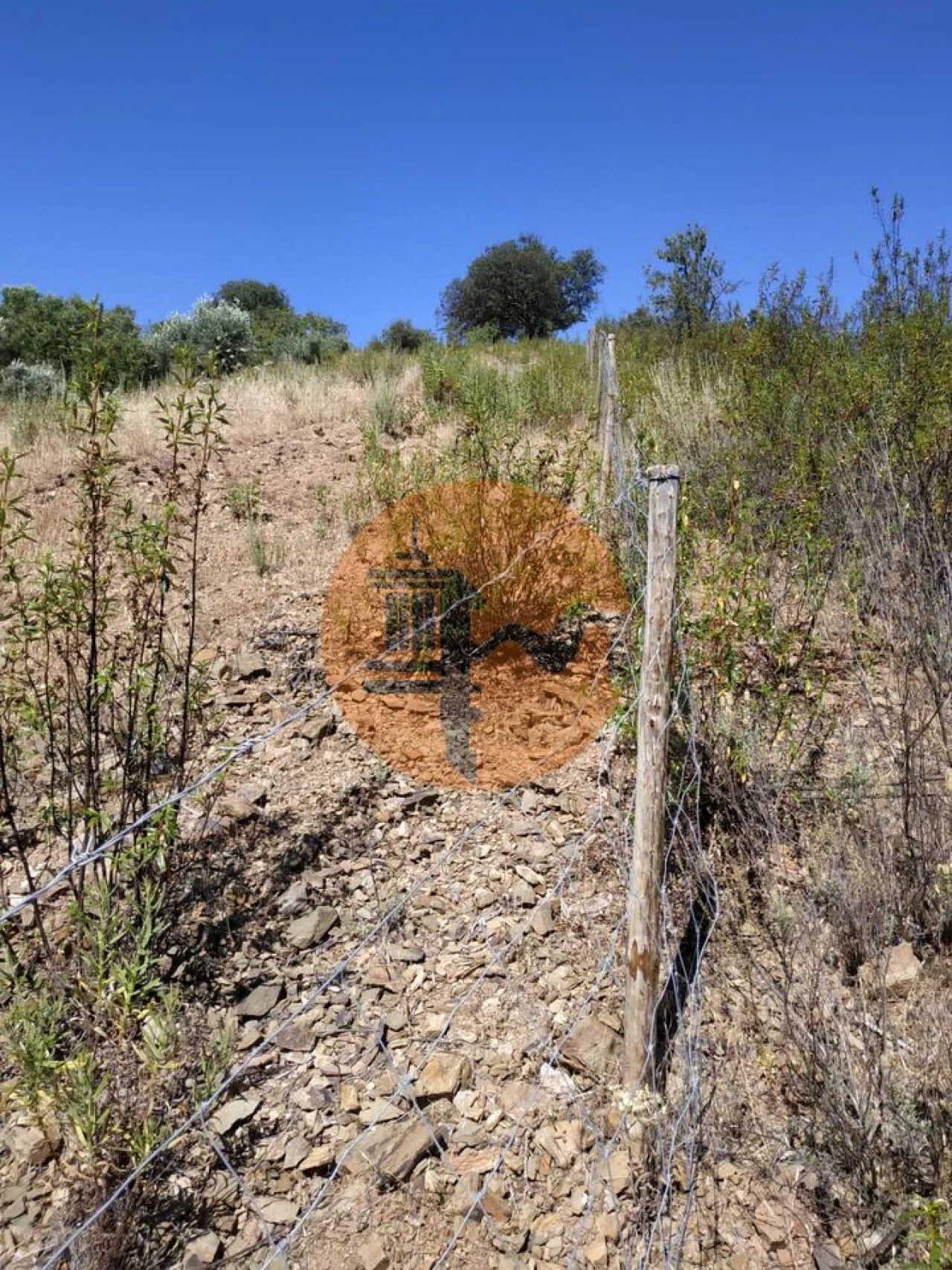 Terreno para Venda em Castro Marim Foto 14